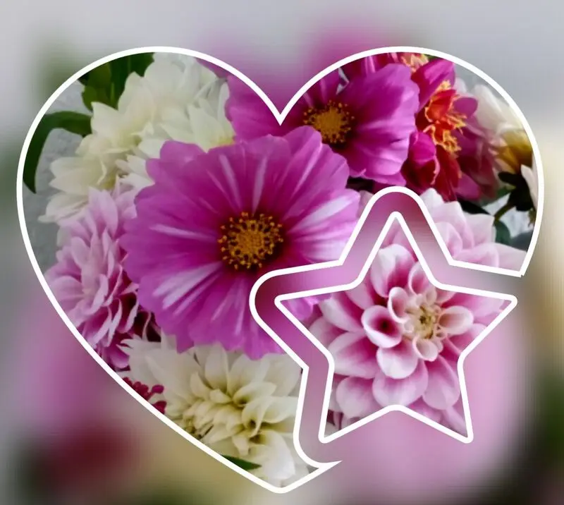 Condolence image of Mama in ewiger Liebe ❤ 