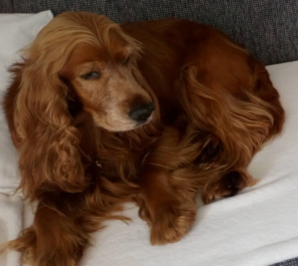 Condolence image of Chris 