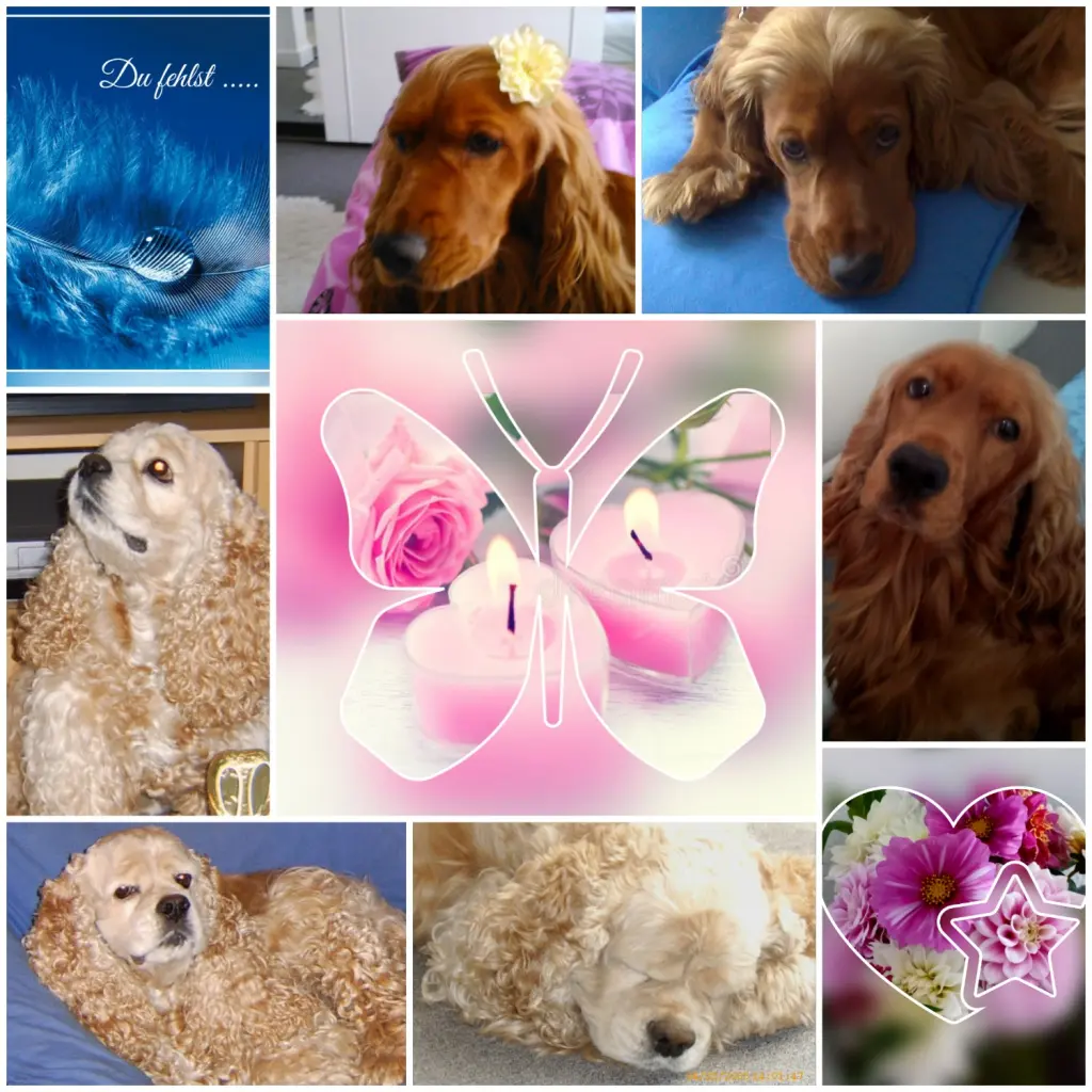 Condolence image of Mama in ewiger Liebe ❤ 