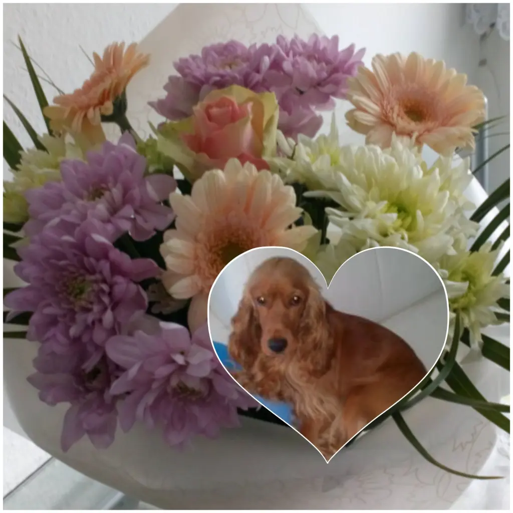 Condolence image of Mama-Tag❤ 