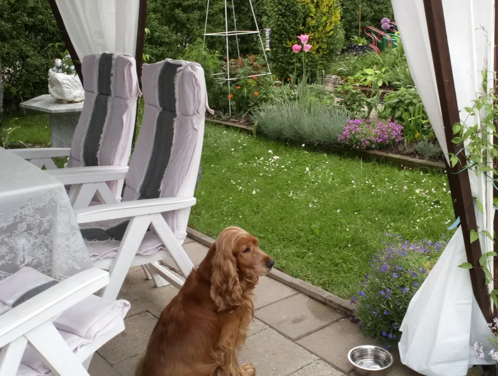 Condolence image of Mama in ewiger Liebe ❤ 