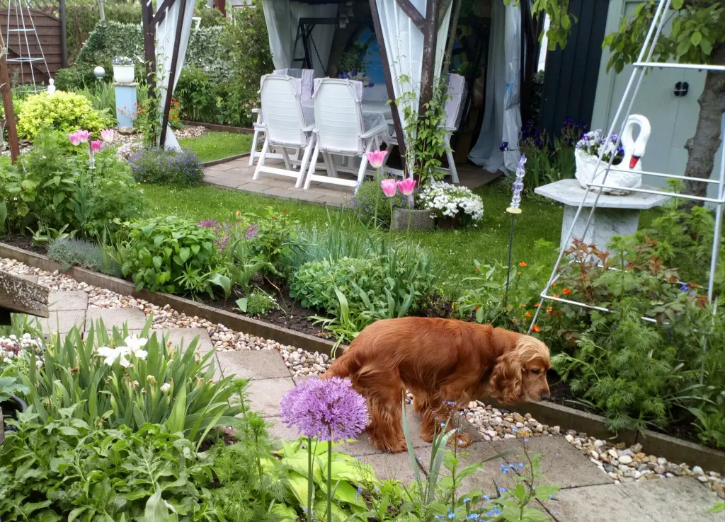 Condolence image of Mama in ewiger Liebe ❤ 