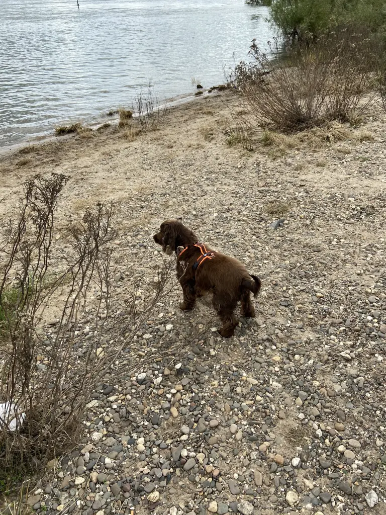 Condolence image of Kerstin mit Linus im ❤️