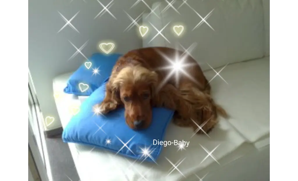 Condolence image of Mama in ewiger Liebe ❤ 