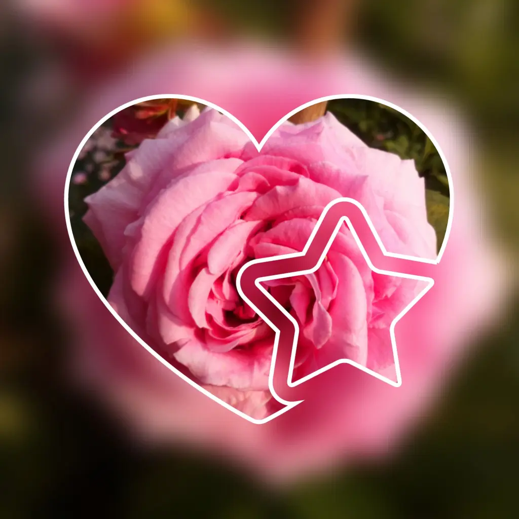 Condolence image of In ewiger Liebe ❤ & Dankbarkeit 