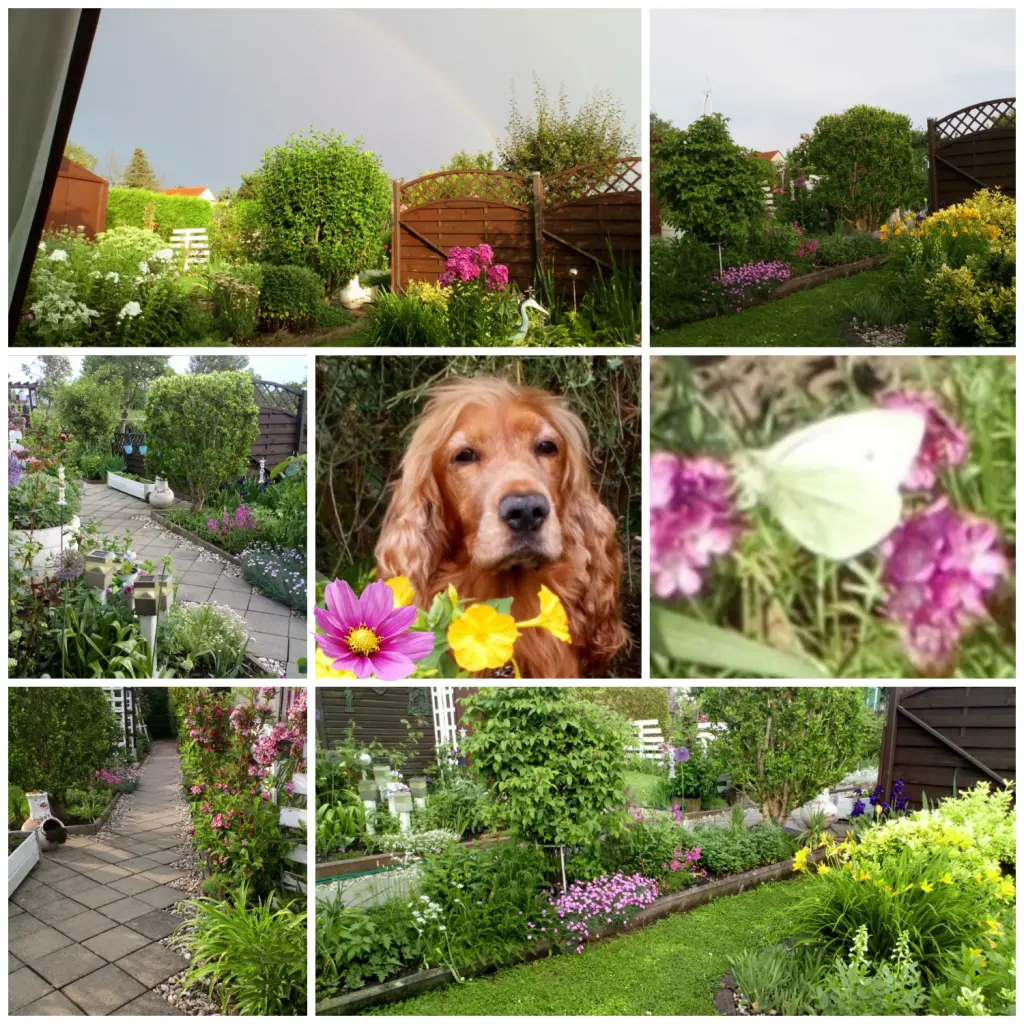 Condolence image of Mama in ewiger Liebe ❤ 