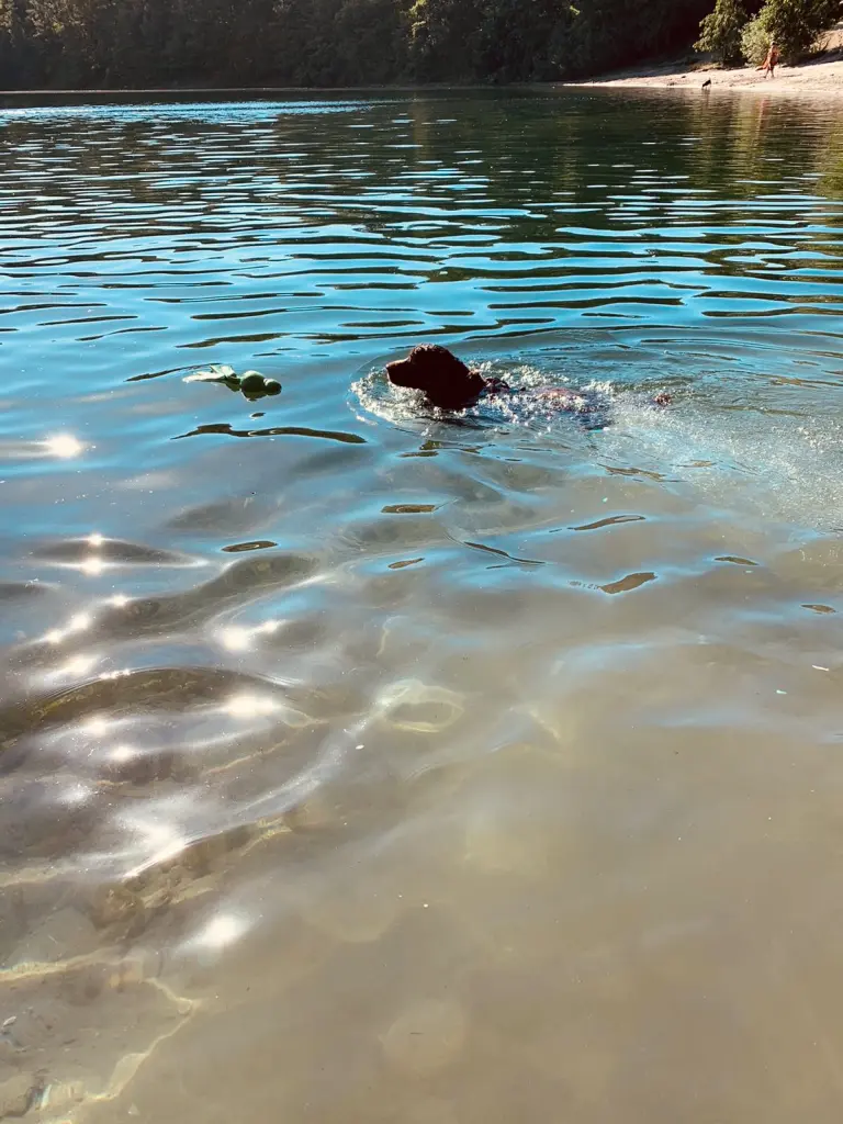 Condolence image of Kerstin mit Linus im ❤️