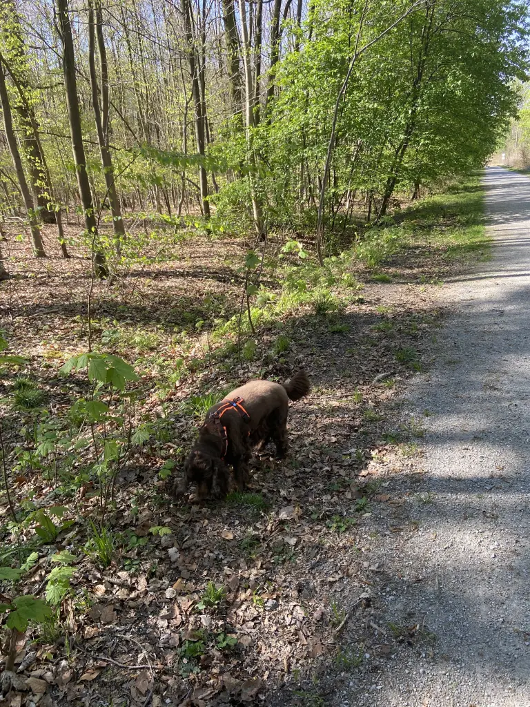 Condolence image of Kerstin mit Linus im ❤️