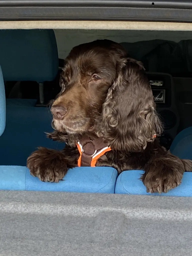 Condolence image of Kerstin mit Linus im ❤️