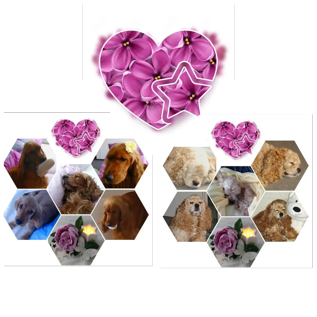 Condolence image of Mama in ewiger Liebe ❤ 