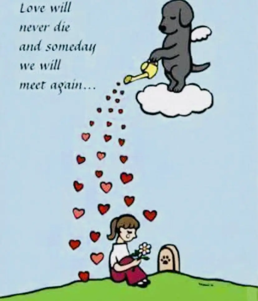 Condolence image of Kerstin mit Linus im ❤️