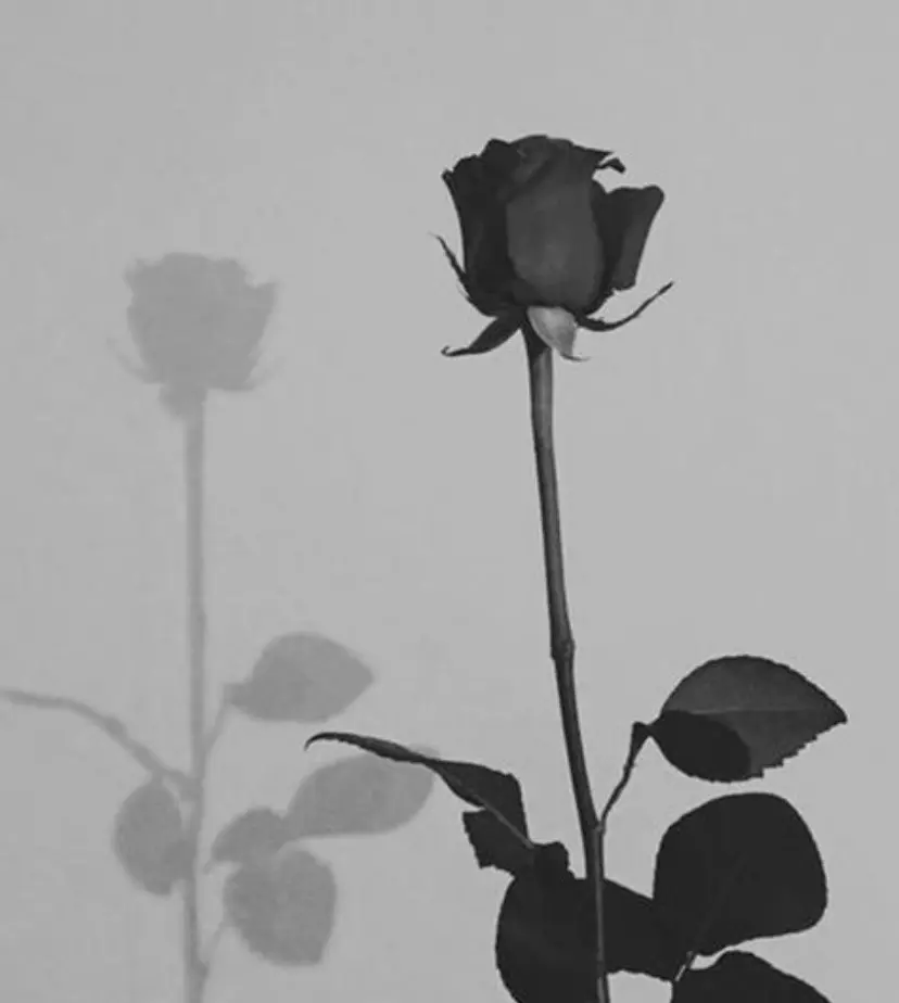 Condolence image of Kerstin mit Linus im ❤️