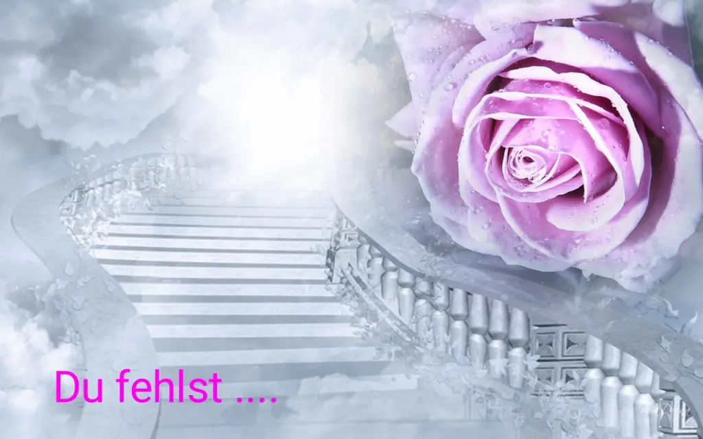 Condolence image of Mama in ewiger Liebe ❤ 