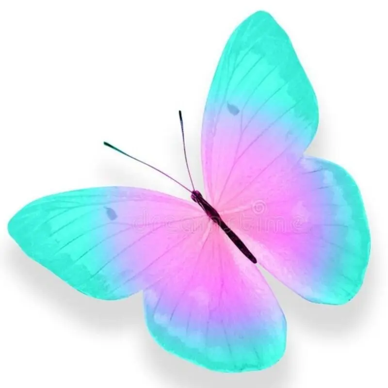 Condolence image of Unbekannt