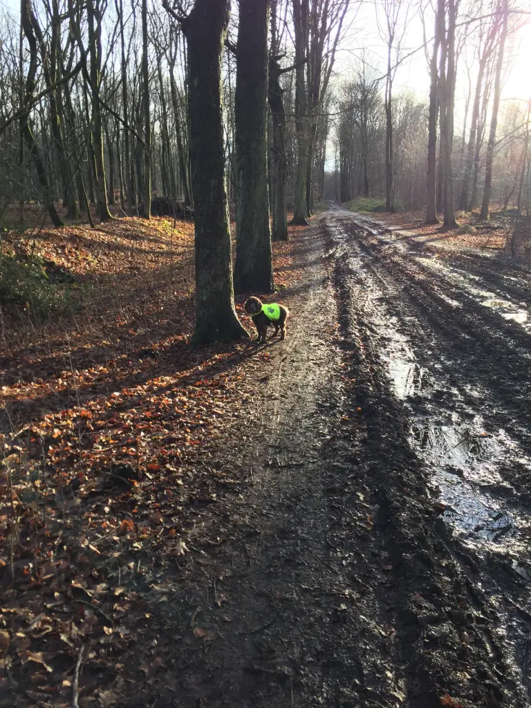 Condolence image of Kerstin mit Linus im ❤️