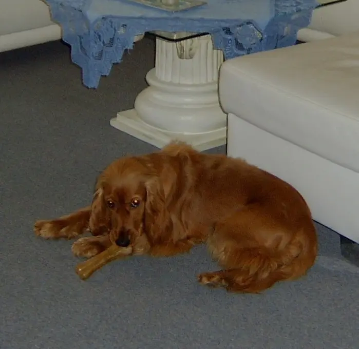 Condolence image of Mama in ewiger Liebe ❤