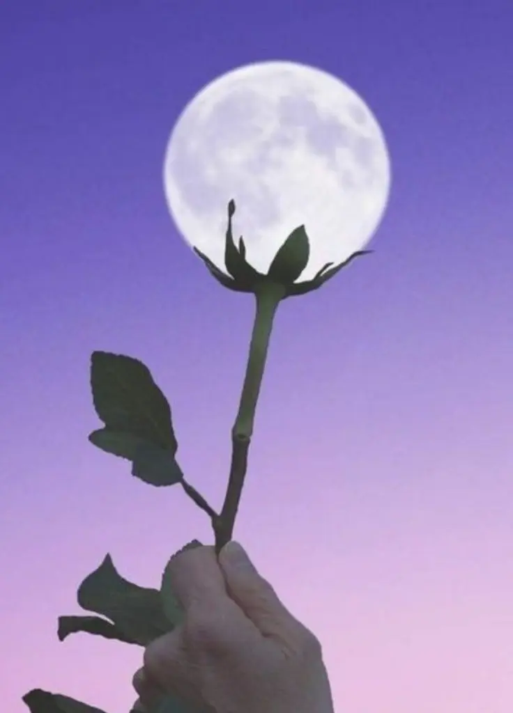 Condolence image of Kerstin mit Linus