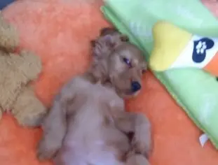 Condolence image of Chris 