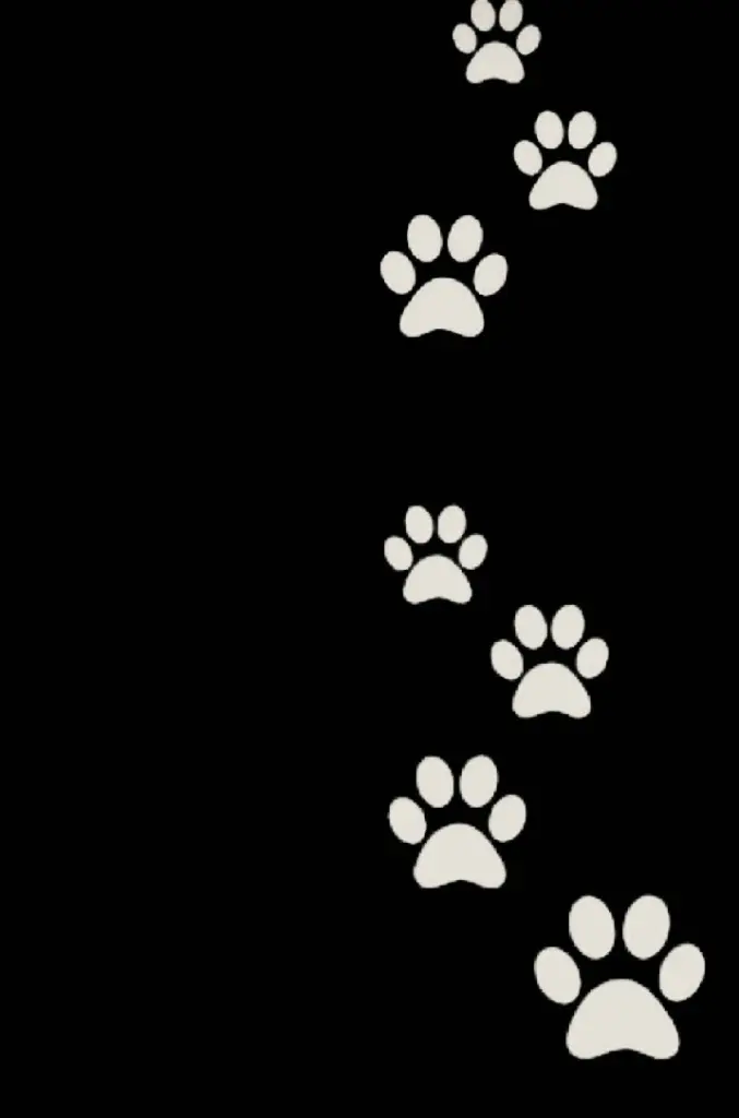 Condolence image of Kerstin mit Linus im ❤️