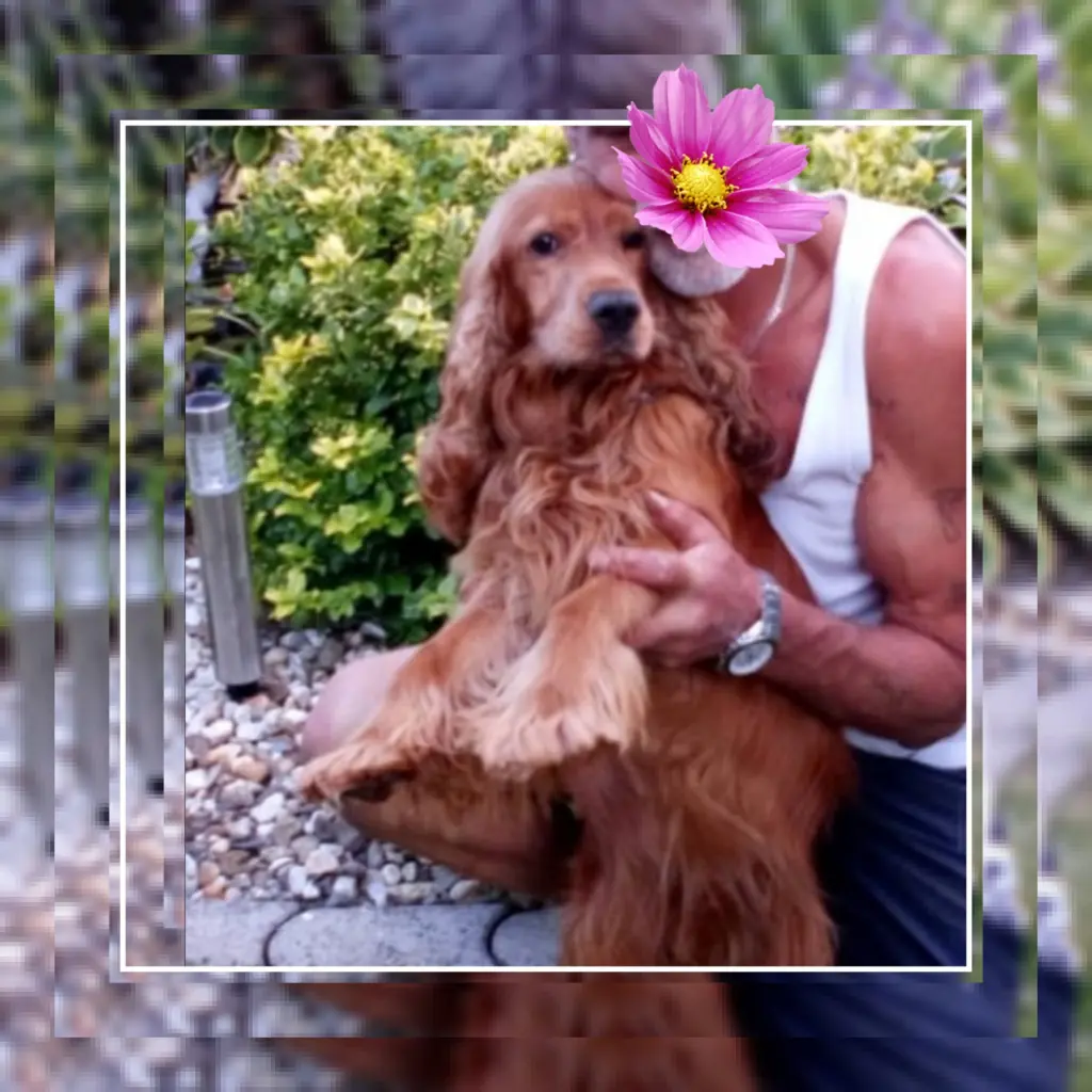 Condolence image of Unbekannt