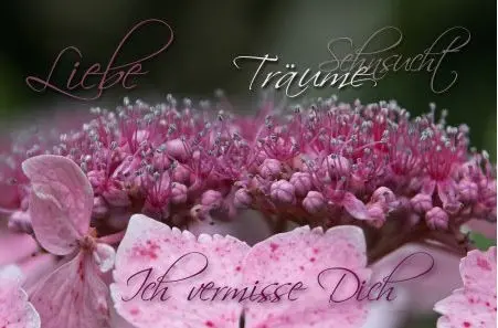 Condolence image of Unbekannt