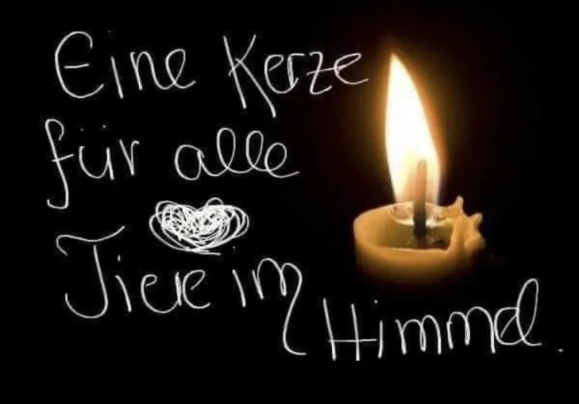 Condolence image of Kerstin mit Linus im ❤️