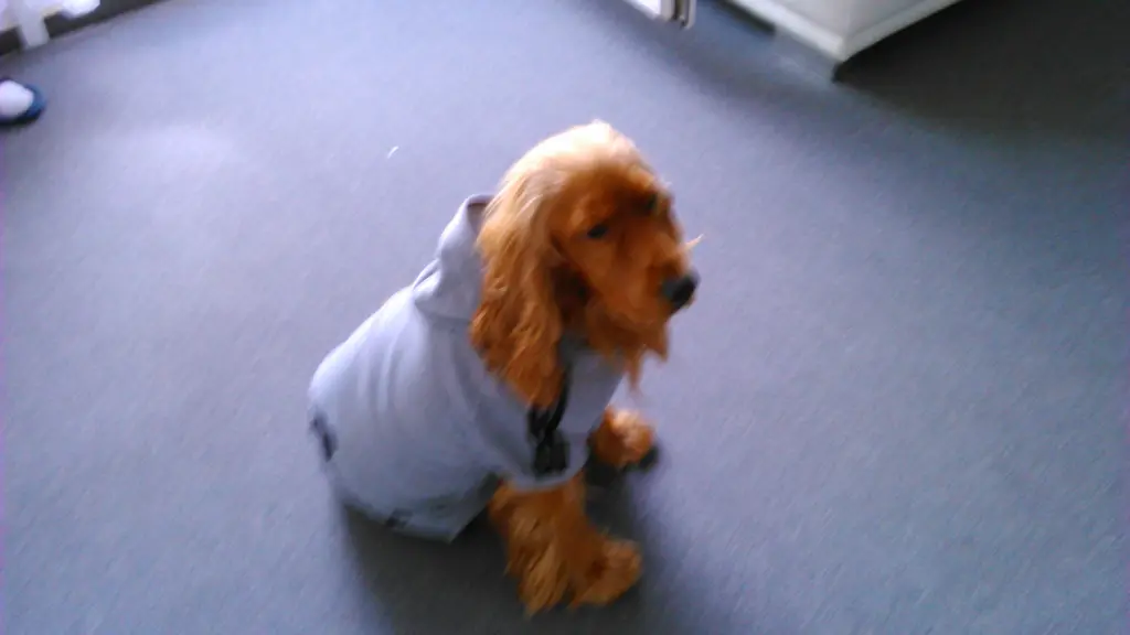 Condolence image of Mama in ewiger Liebe ❤ 