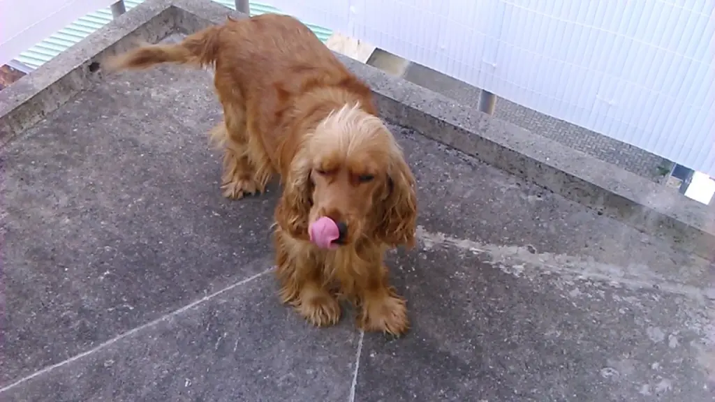 Condolence image of Mama in ewiger Liebe ❤