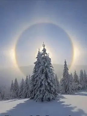 Condolence image of Von ganzem Herzen 