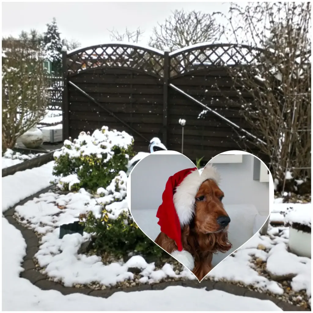 Condolence image of Unbekannt