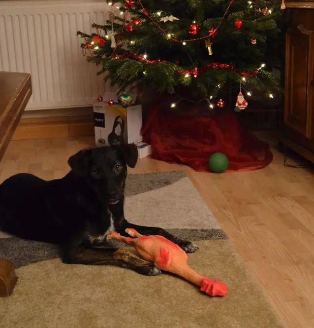 Condolence image of Helmut