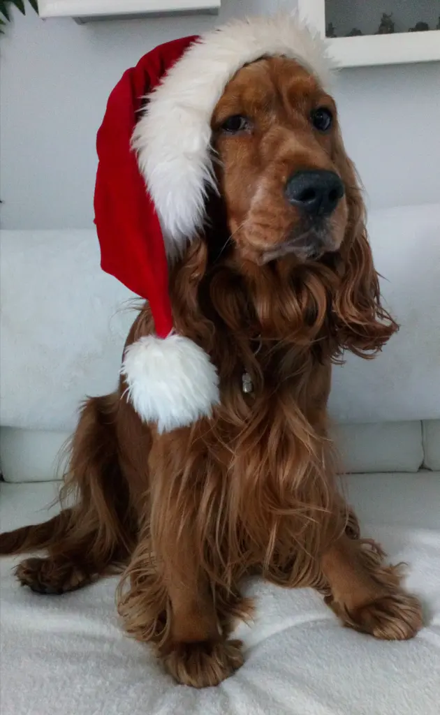 Condolence image of Mama in ewiger Liebe ❤