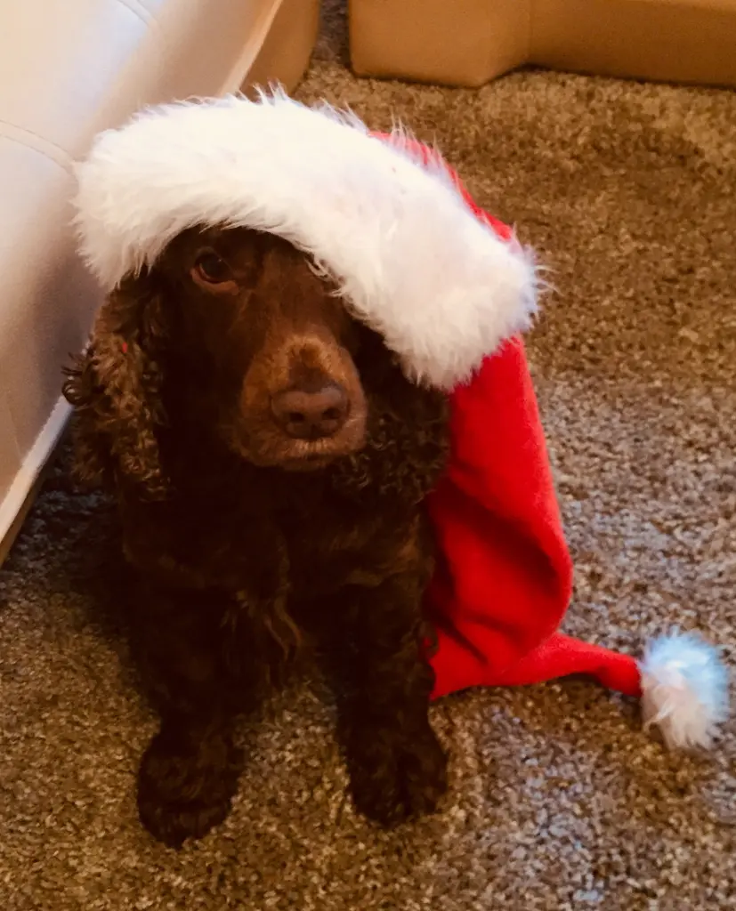 Condolence image of Kerstin mit Linus im ❤️