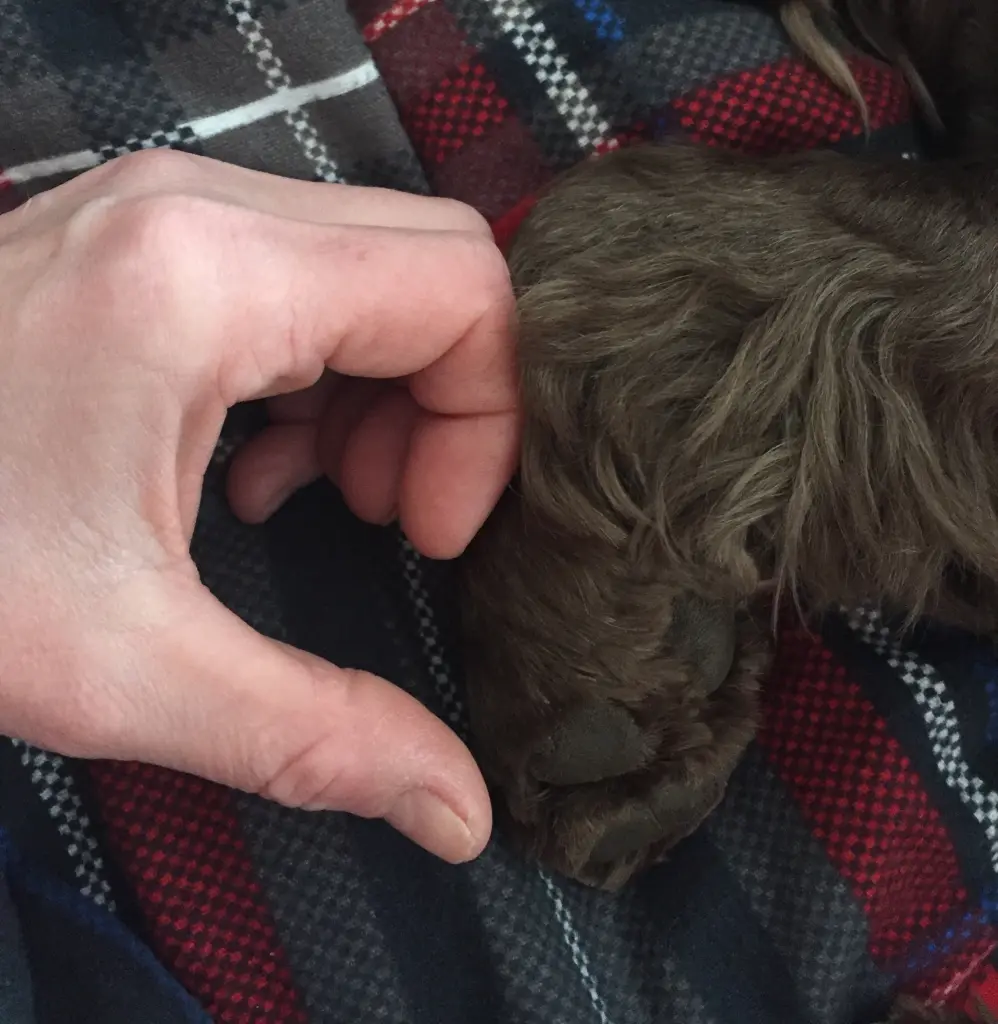 Condolence image of Kerstin mit Linus im ❤️