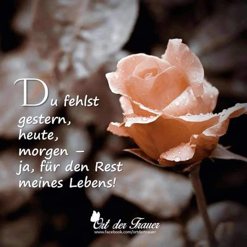 Condolence image of Deine Dich immer liebende Mama ❤ 
