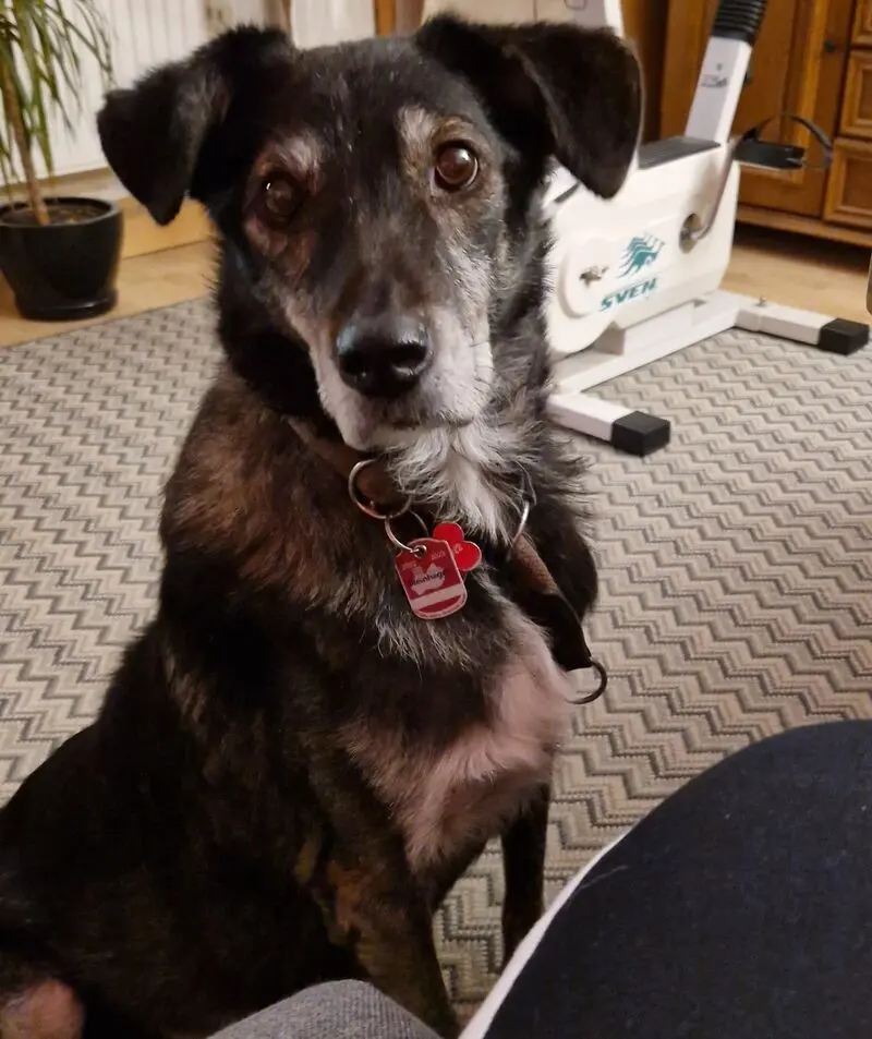 Condolence image of Helmut