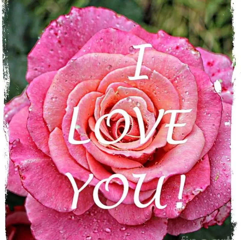 Condolence image of Mama in ewiger Liebe ❤ 