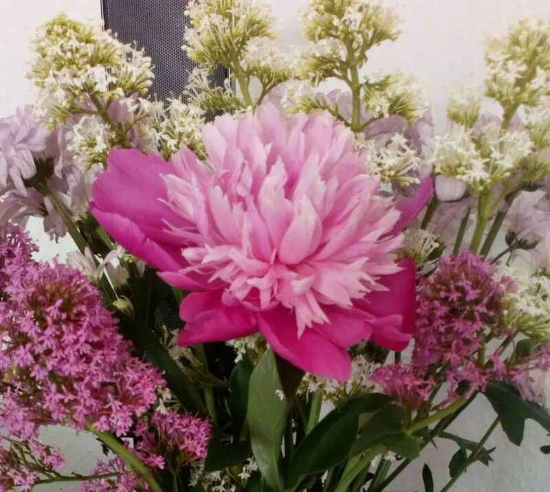 Condolence image of ❤ ❤ ❤ 