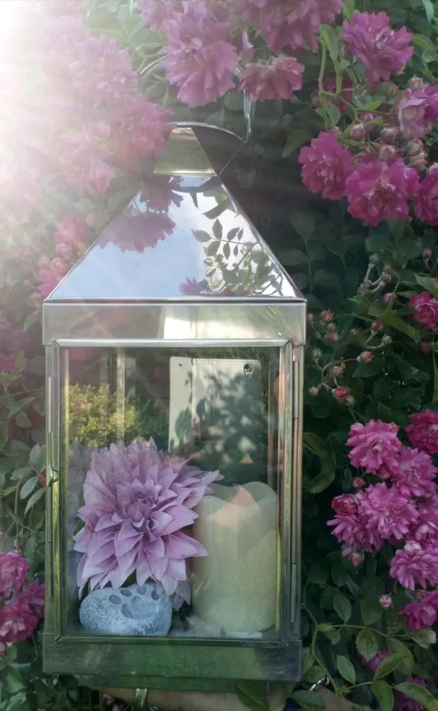 Condolence image of Deine Familie in ewiger Liebe❤ 