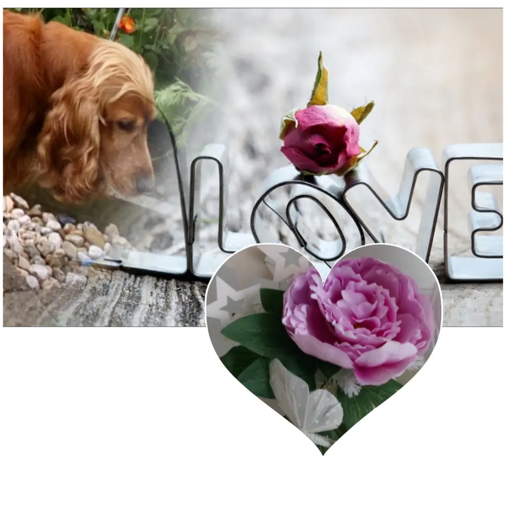 Condolence image of Mama in ewiger Liebe ❤ 