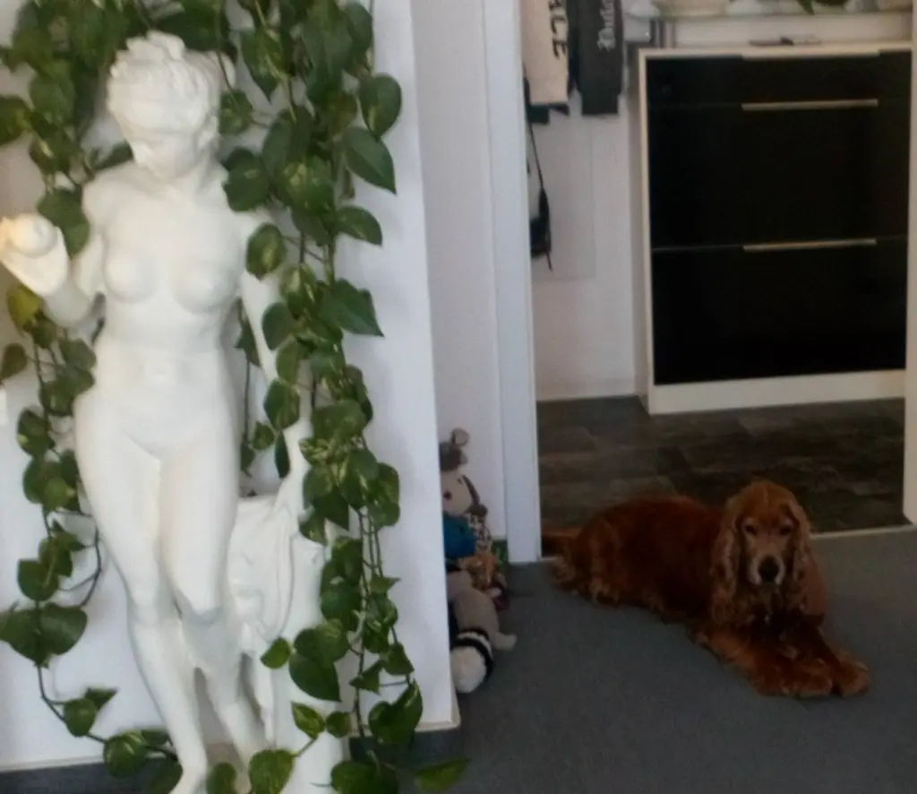 Condolence image of ❤ ❤ ❤