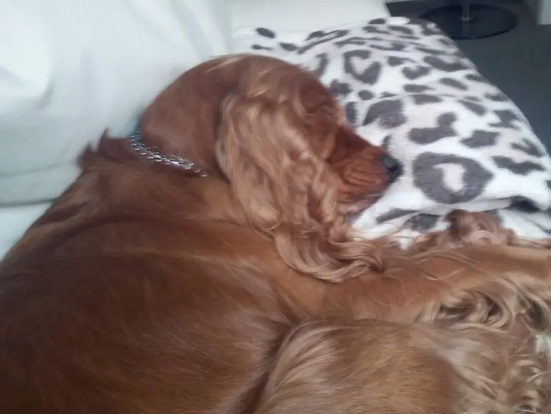 Condolence image of ❤ ❤ ❤