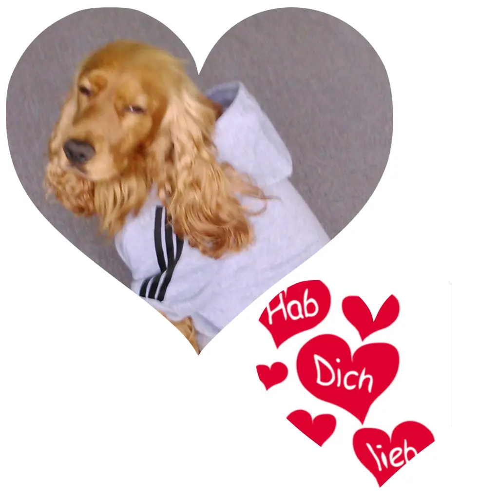 Condolence image of In ewiger Liebe ❤ & Dankbarkeit