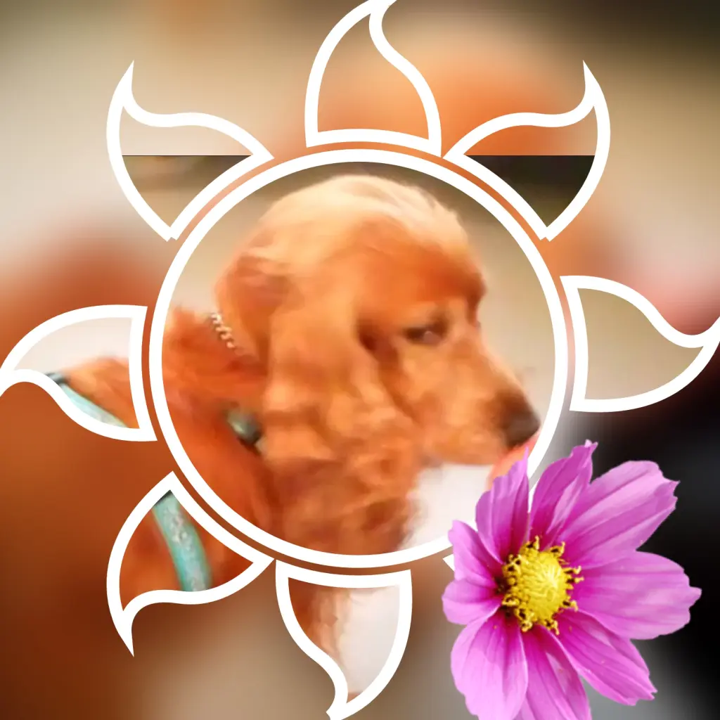 Condolence image of Immer im Herzen ❤️