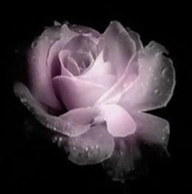 Condolence image of In ewiger Liebe ❤ & Dankbarkeit