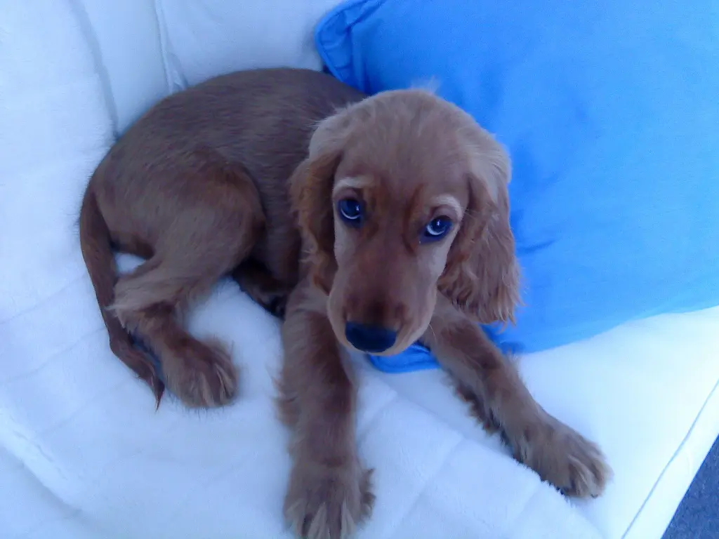 Condolence image of Deine Dich immer liebende Mama ❤