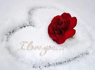 Condolence image of Deine Dich immer liebende Mama ❤