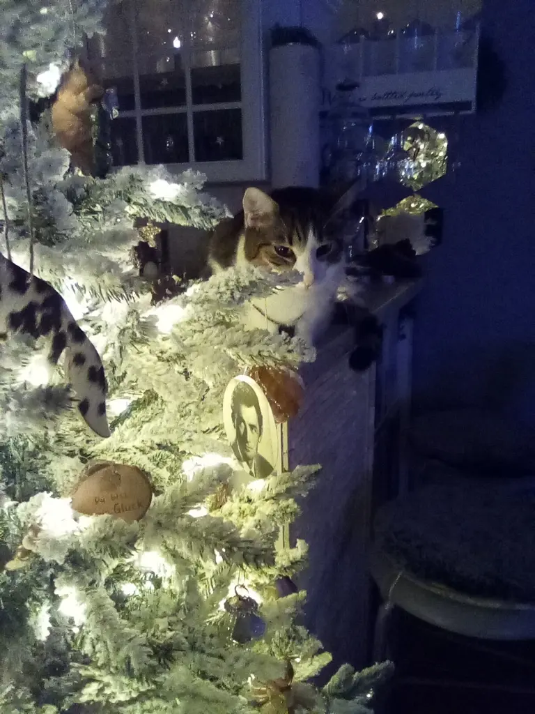 Condolence image of Beate mit Elvis im Herzen ❤