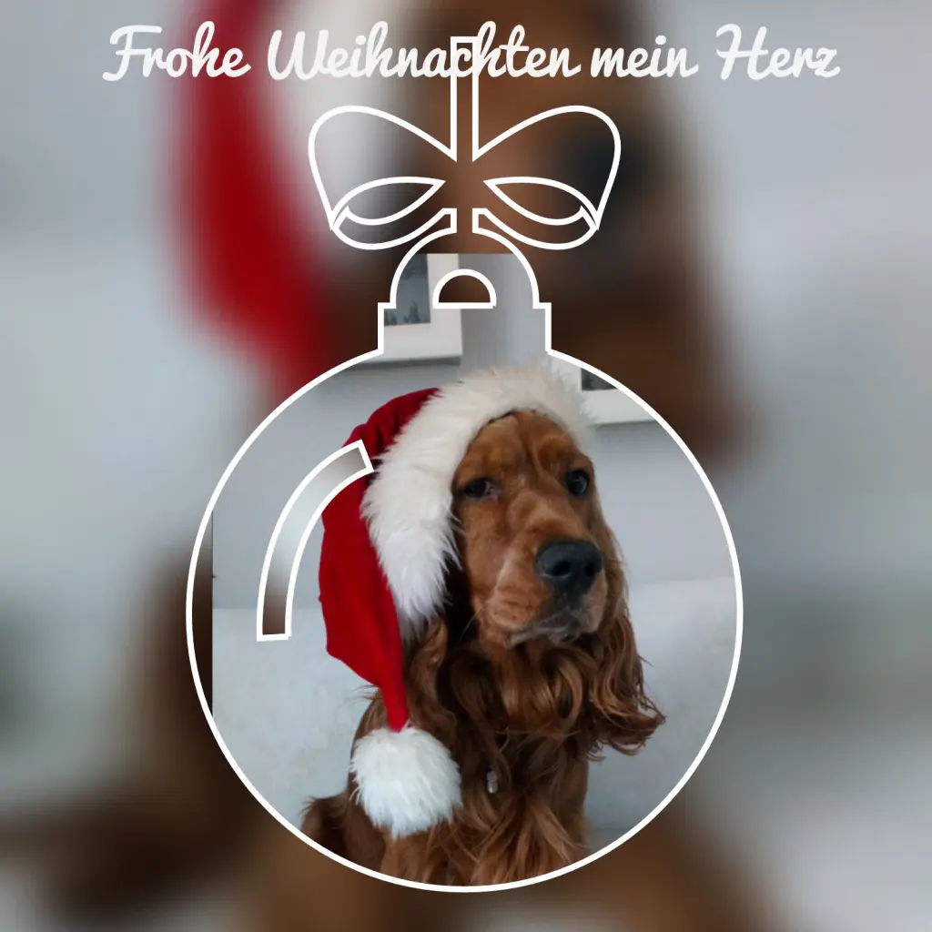 Condolence image of ⭐ Heiligabend ⭐