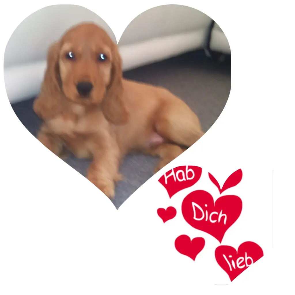 Condolence image of Jacqueline